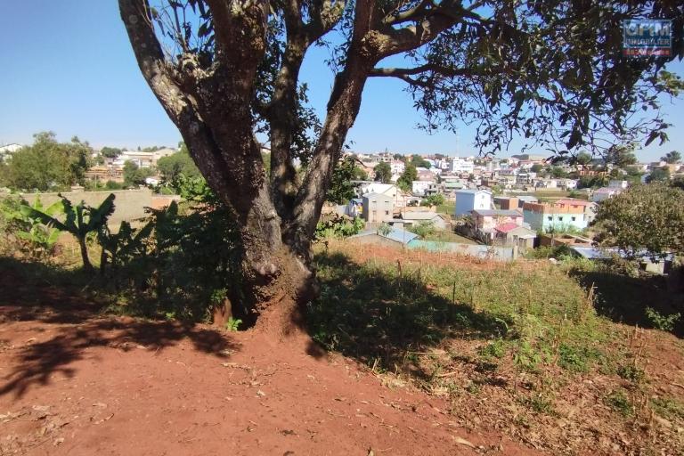 Prix en baisse!!Beau terrain de 1 468 m2 entièrement clôturé à Talatamaty- Antananarivo