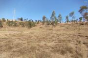 A vendre, grand terrain de 9958 m2en bord de route principale sur Fenoarivo Morarano- Antananarivo