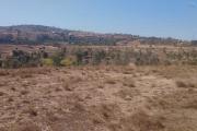 A vendre, grand terrain de 9958 m2en bord de route principale sur Fenoarivo Morarano- Antananarivo