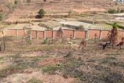 A vendre, une grande propriété de  1Ha, entièrement clôturé , à 2 KM de la résidence Panoramique Ambatobe- Antananarivo