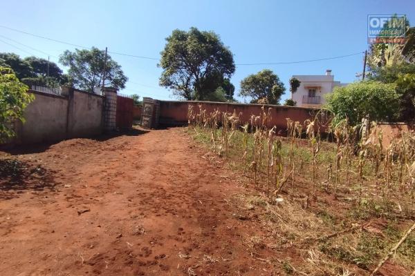 Prix en baisse!!Beau terrain de 1 468 m2 entièrement clôturé à Talatamaty- Antananarivo